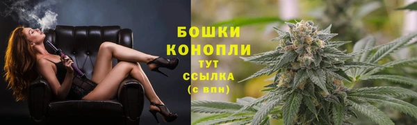 крисы Володарск