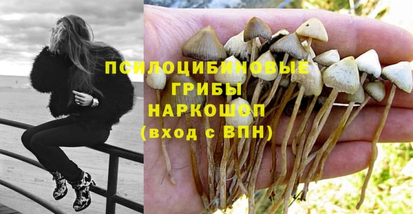 крисы Володарск
