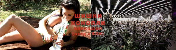 крисы Володарск