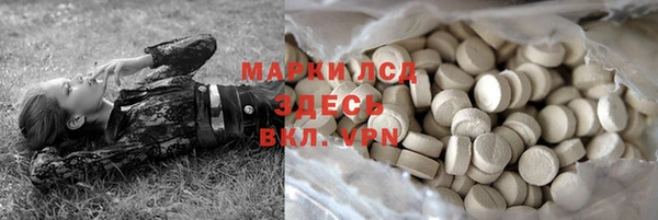 крисы Володарск